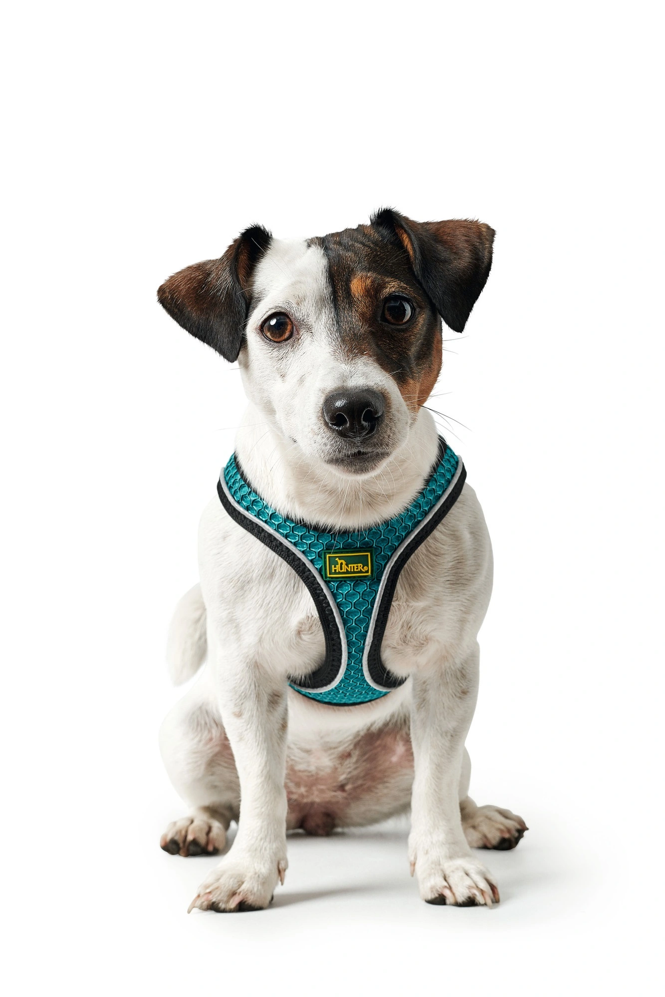 Hunter NY Hilo Comfort hundesele XS-S turkis mave/bryst 40-46 cm - Fleksibel komfort til små hunde